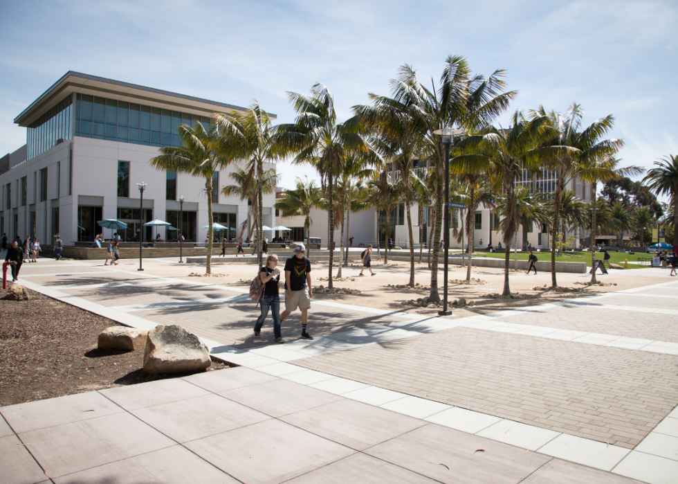 A courtyard of palm trees on campus.