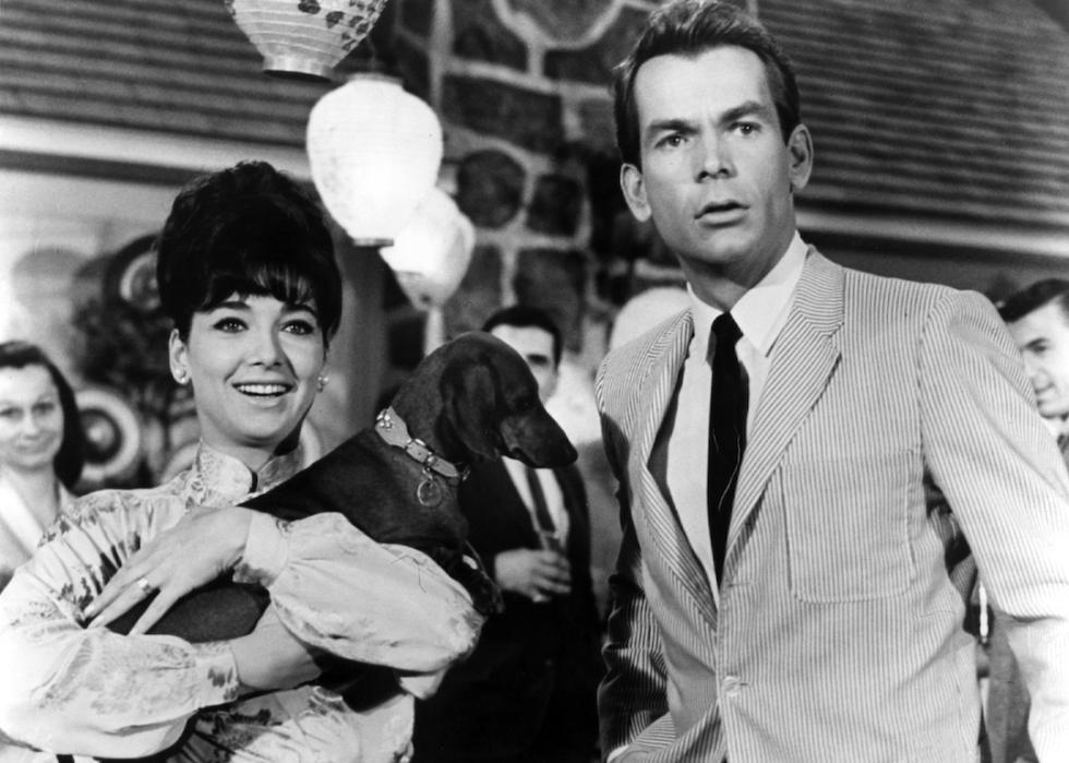 A scene from 'The Ugly Dachshund.'