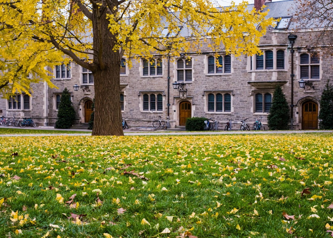 Bicycles parked in front of a brick building in fall at Princeton.