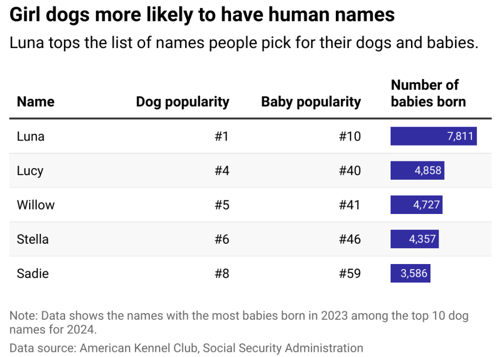 A table showing the names with the most babies born in 2023 among the top 10 girl dog names for 2024.