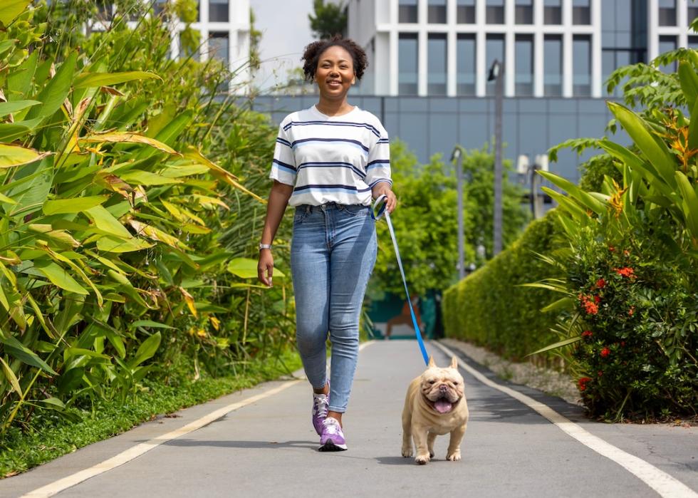 Owner walks with her French bulldog puppy in the park.