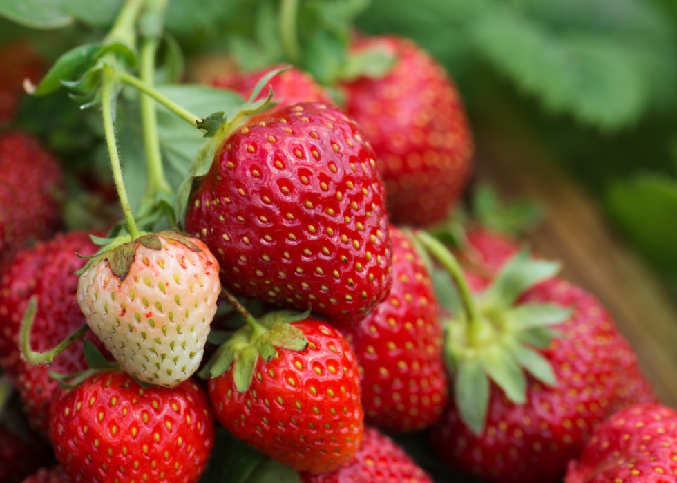 Close up of fresh strawberries.