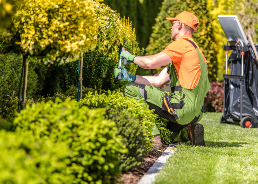 A man in green overalls kneeling in the garden trimming bushes.