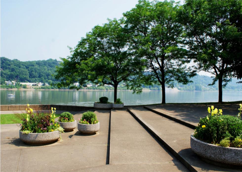 Green trees in the foreground with the river and mountains in the background.