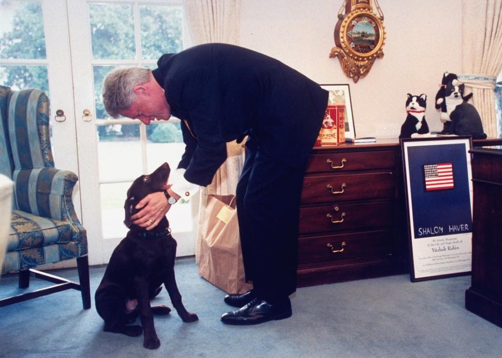 Former President Bill Clinton bending over to pet his new labrador retriever Buddy in the White House Oval Office.