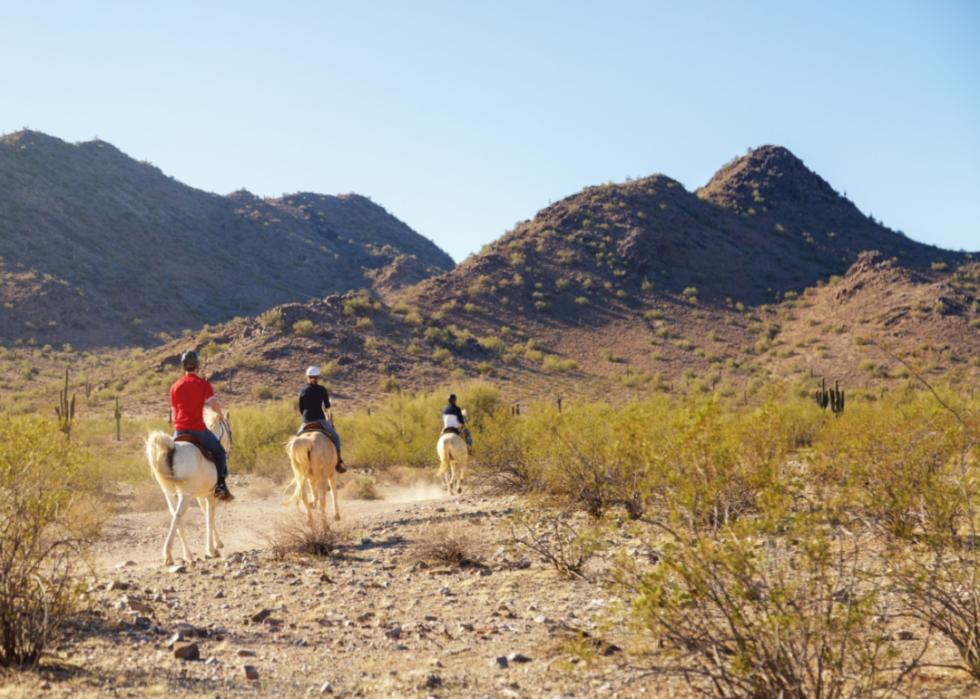 People riding horses through a mountain park.