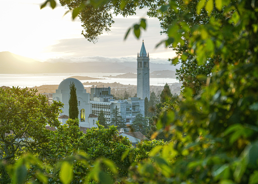 Sather Tower and the Berkeley skyline on the water.