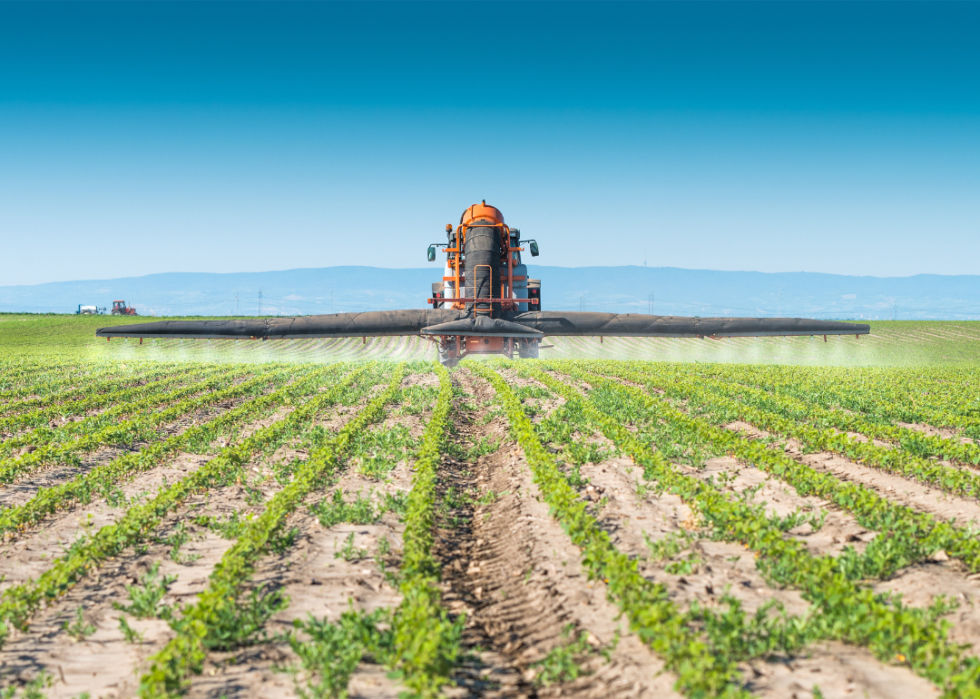A tractor spraying a field of crops.