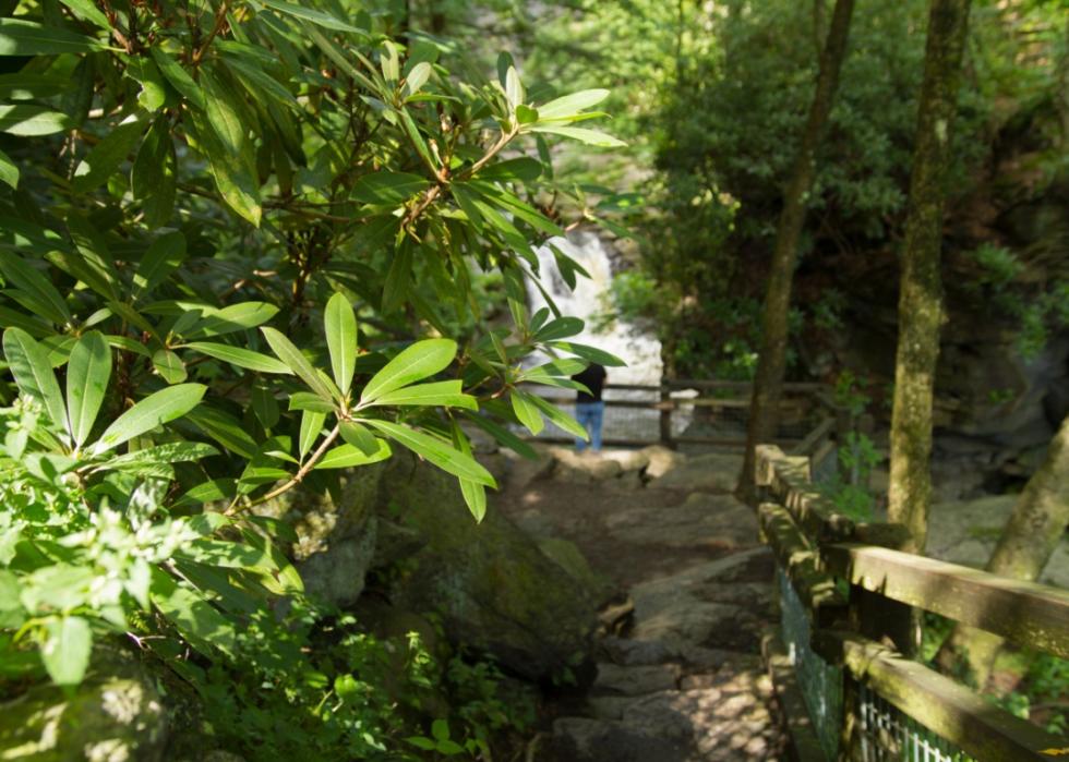 Waterfall on Swift River running through a gorge in a Pennsylvania forest.