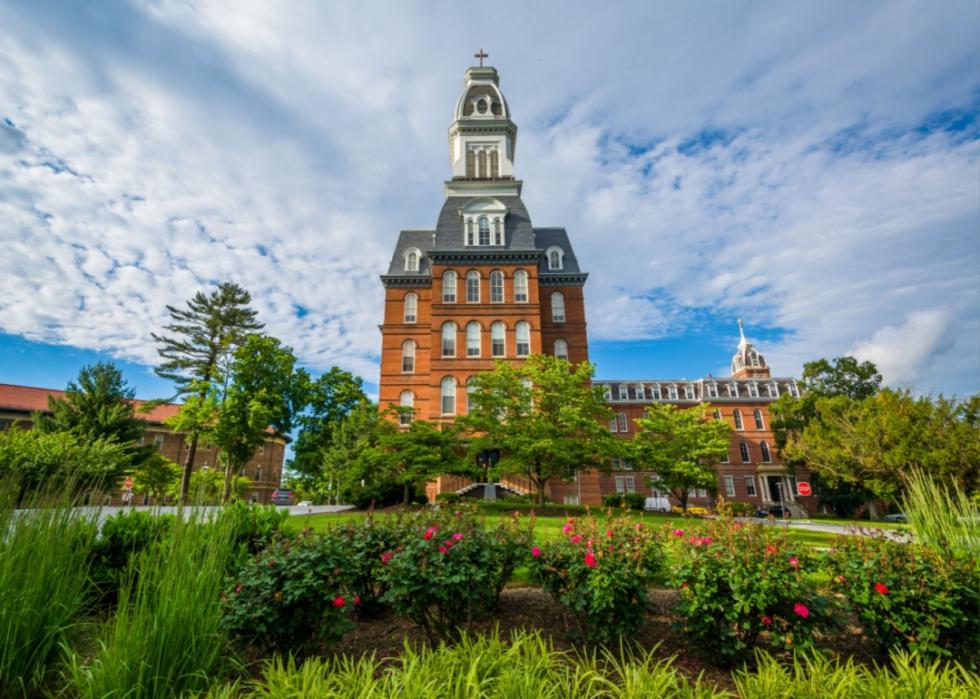 Pink roses in front of Gibbons Hall at University of Notre Dame.
