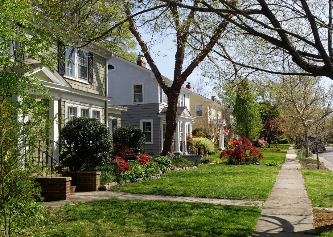 A neighborhood in Richmond during early spring.