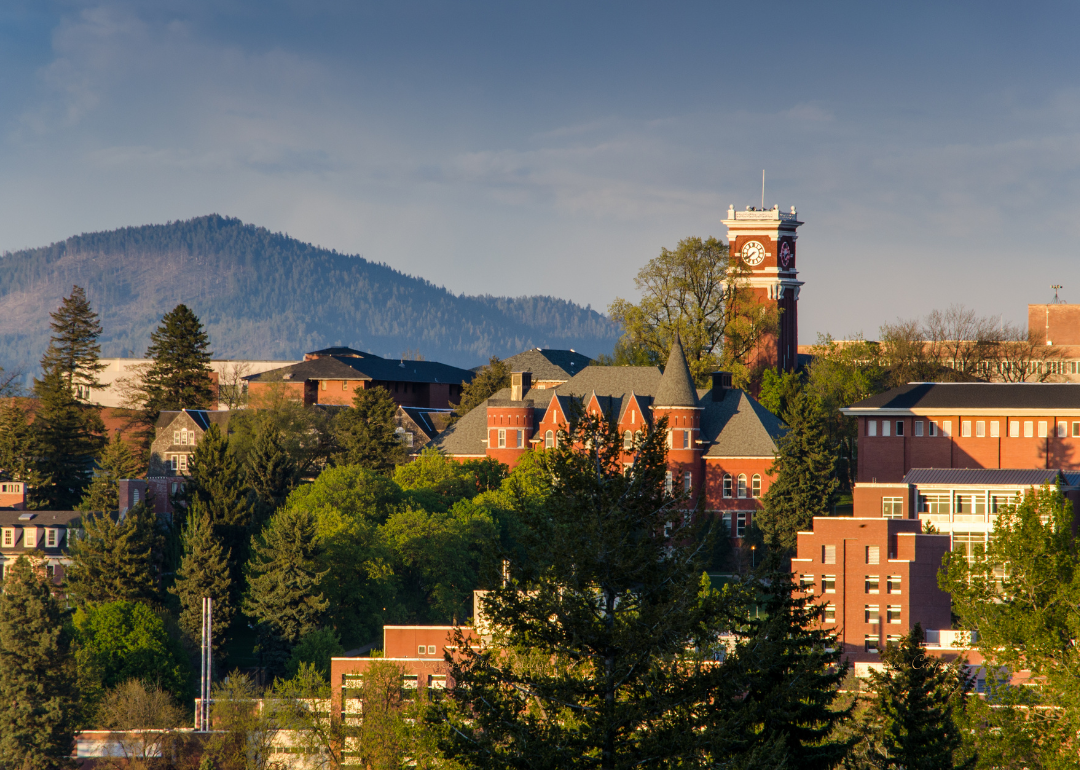An aerial view of the buildings on the campus of Washington State University.