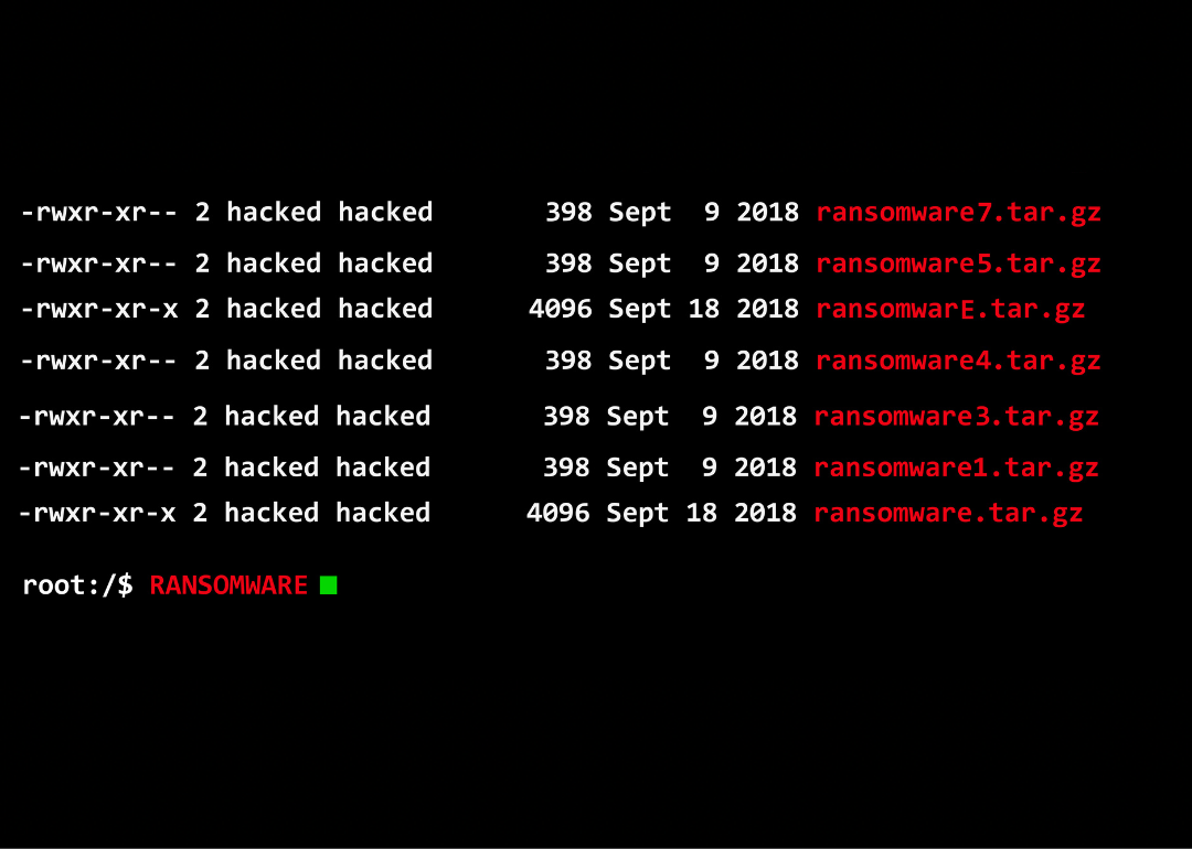 Ransomware code as seen on a computer screen.