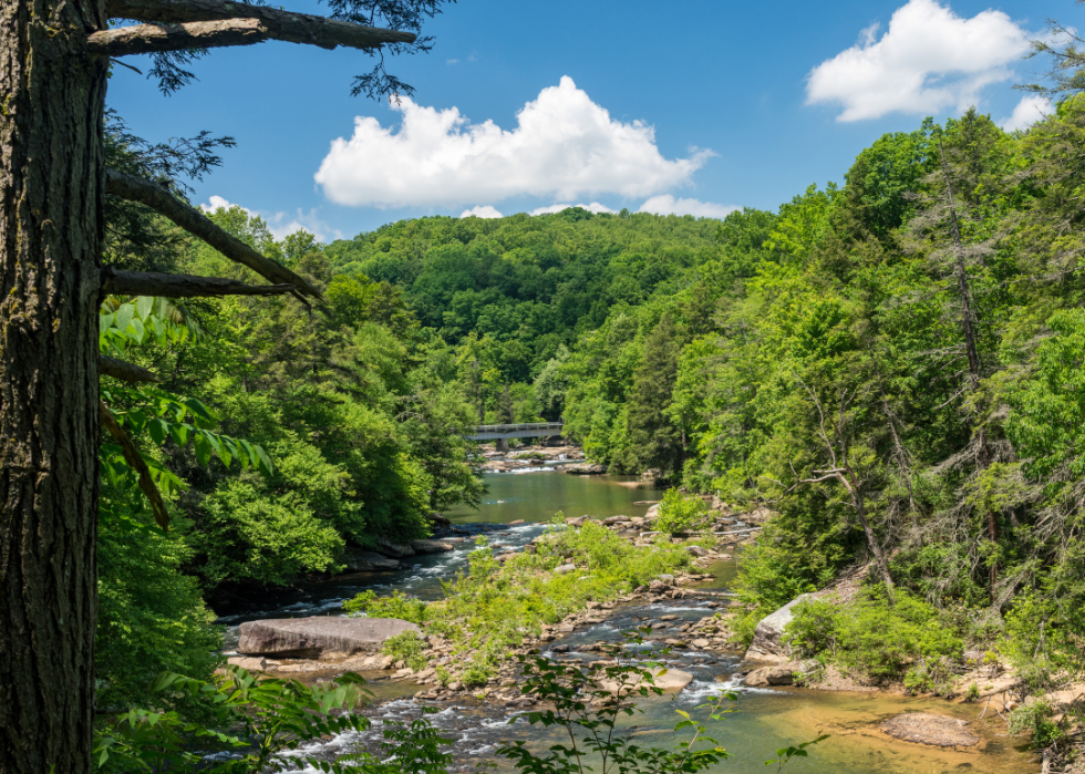 A river flowing through the Audra State Park near Buckhannon.
