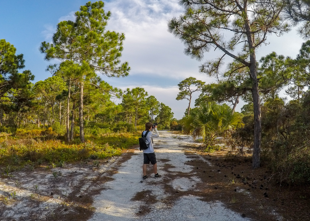 A photographer shooting an image of trees in Hypoluxo, Florida.