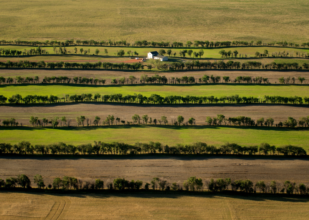 A farmhouse in the background of of U.S. Hwy 85 going throughout Arnegard.
