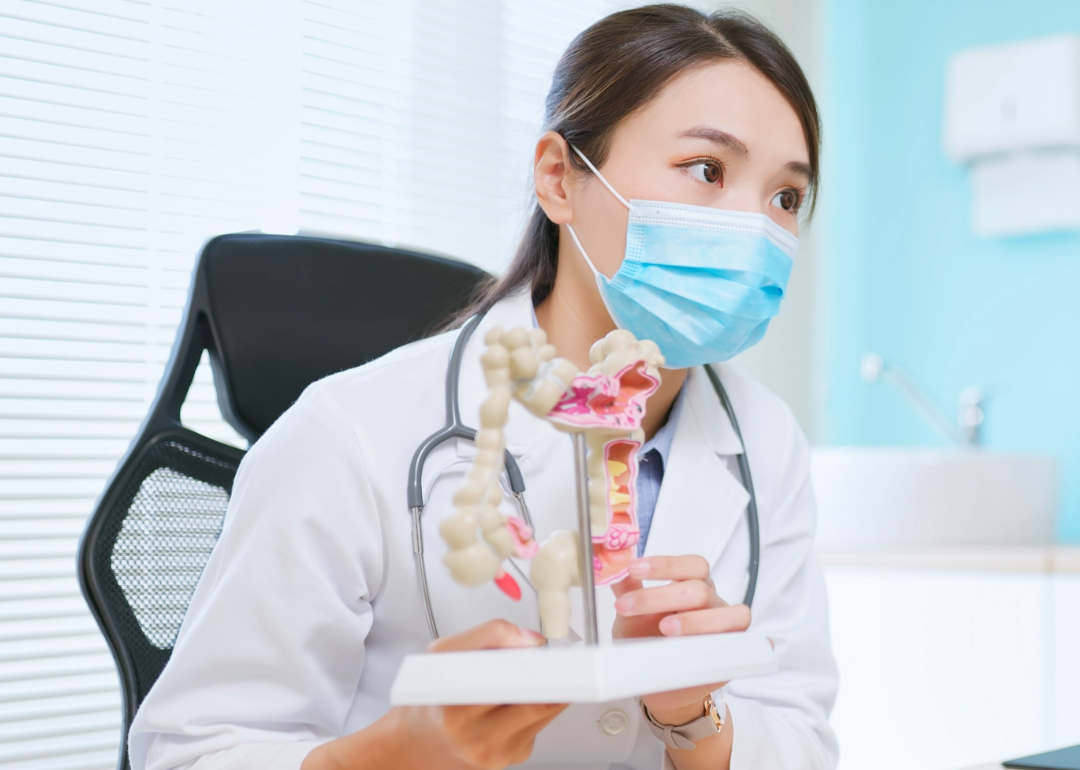 A doctor wearing face mask and holding a model of the large intestine.