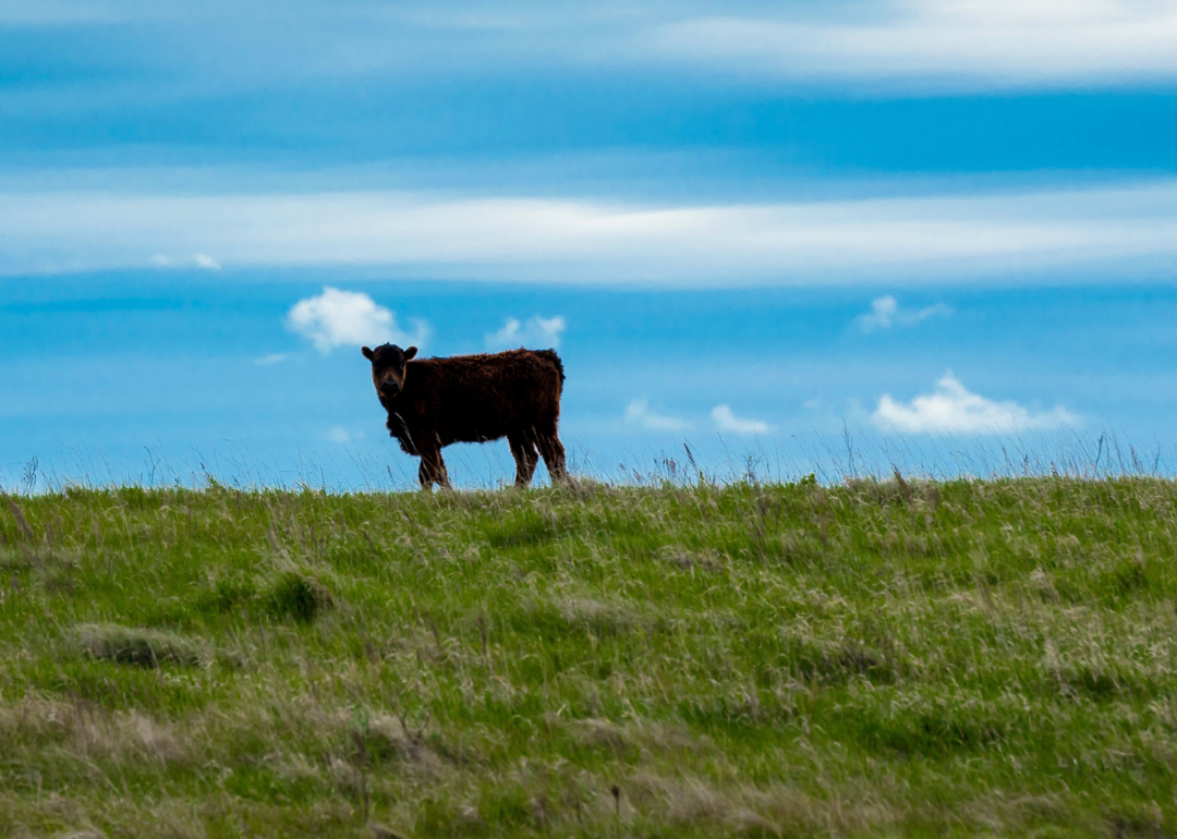 Sioux County, North Dakota