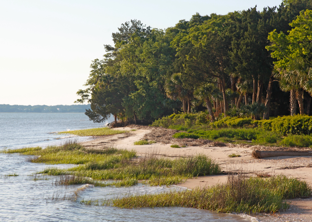 The shore of Daufuskie Island.