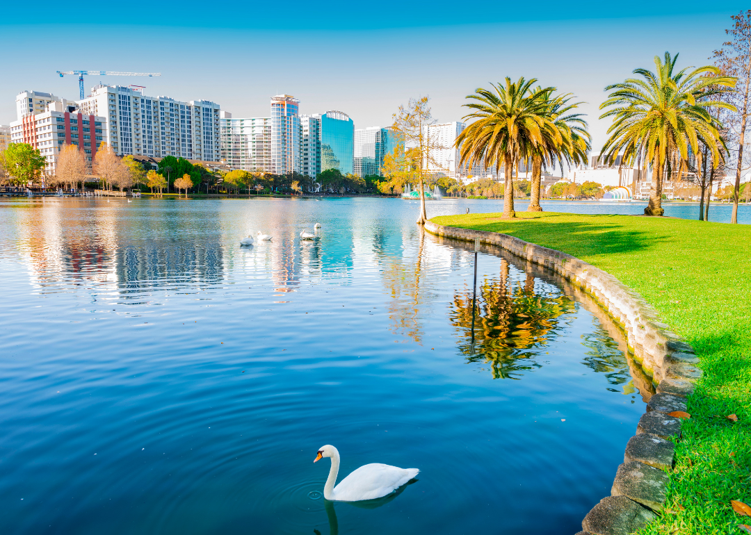 The Orlando skyline, as seen from a distance.