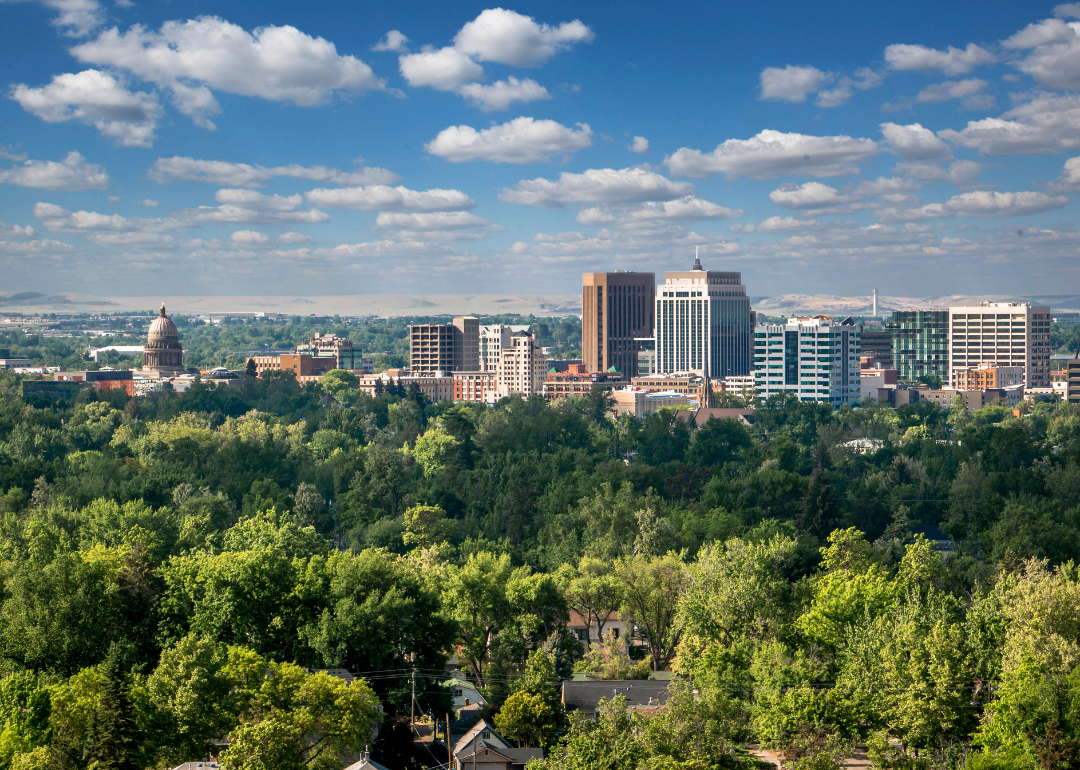 A distant view of the Boise skyline.