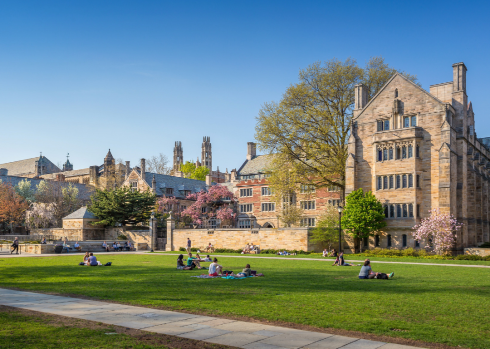 Students sitting on a green lawn on campus.
