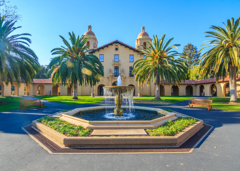 Stanford lined with palm trees.