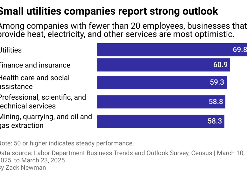 A bar chart showing utilities and financial companies with fewer than 20 employeed are among the most optimitic.