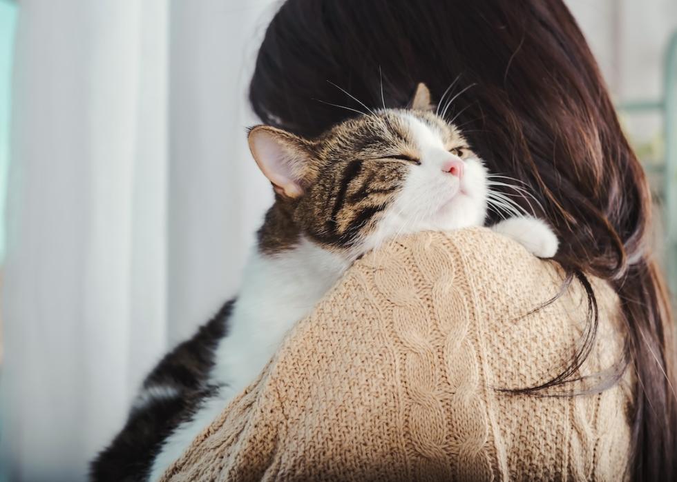 Cat hugged by its woman owner.