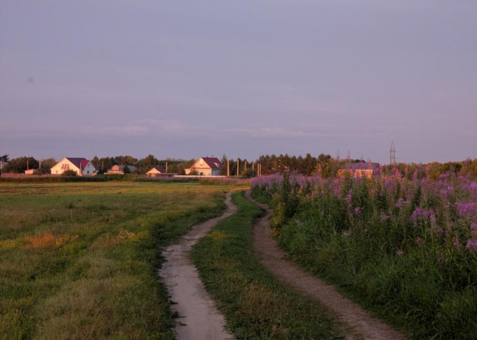 A country road winding through purple flowers and quaint homes.