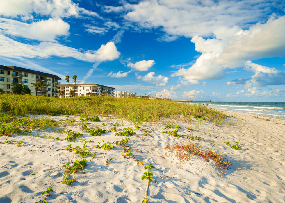 View of the beach and condos from the sand dunes.