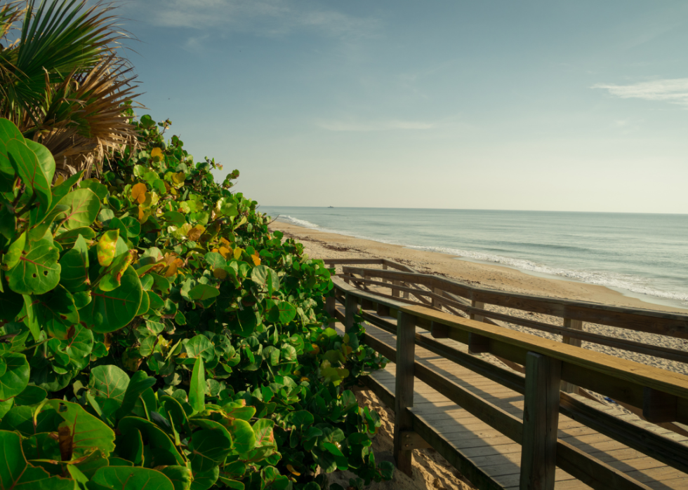 Beach and boardwalk lined with greenery.
