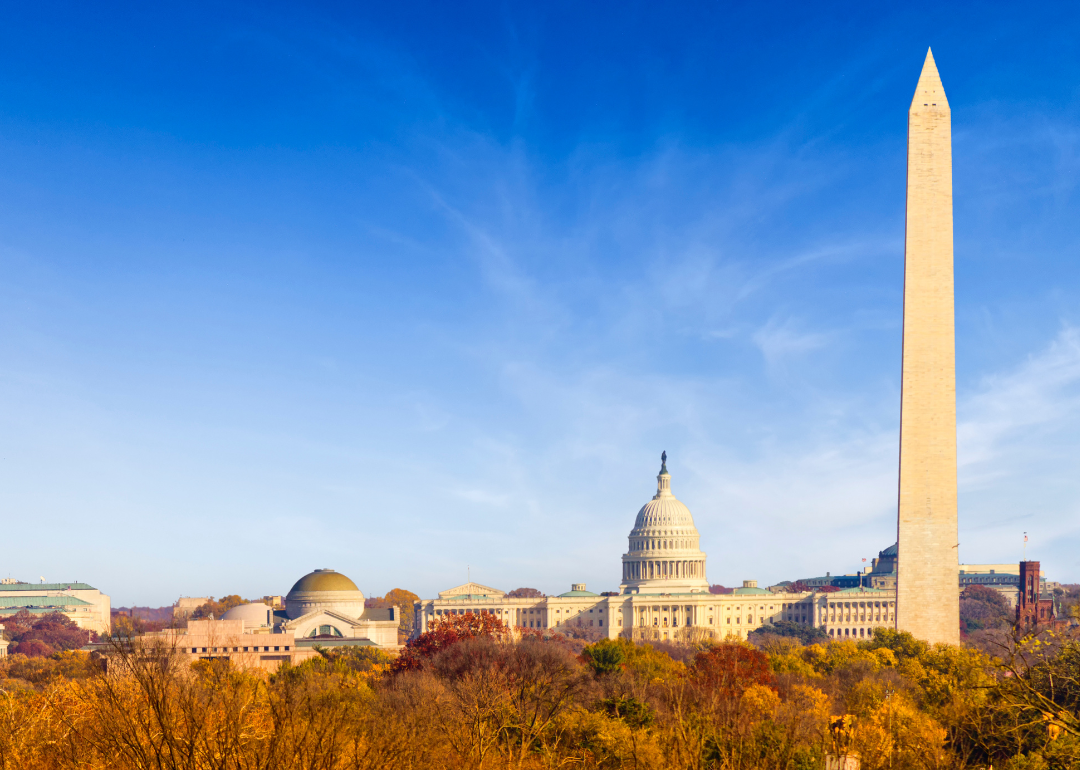 The Capitol and D.C. skyline.