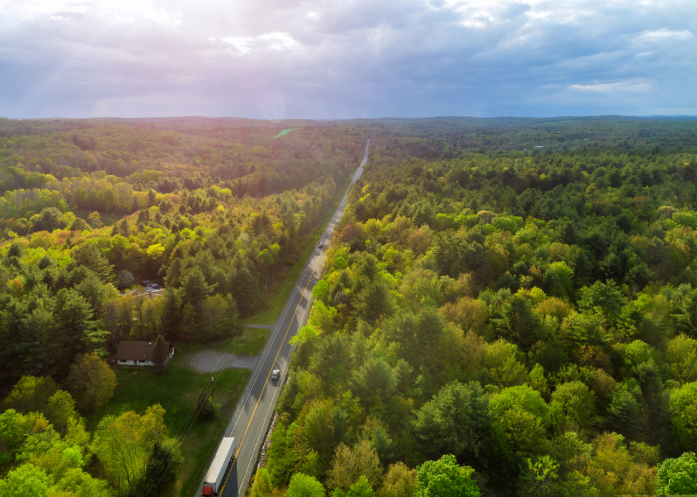 Pocono mountains rural road lined with trees.