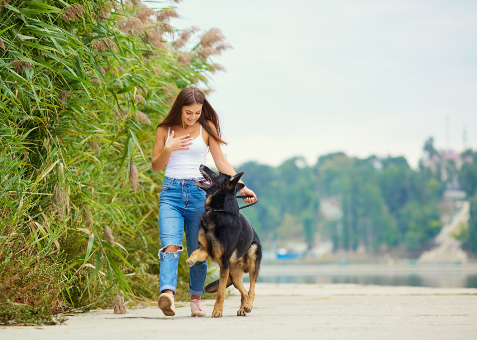 A girl smiling and walking a German shepherd.