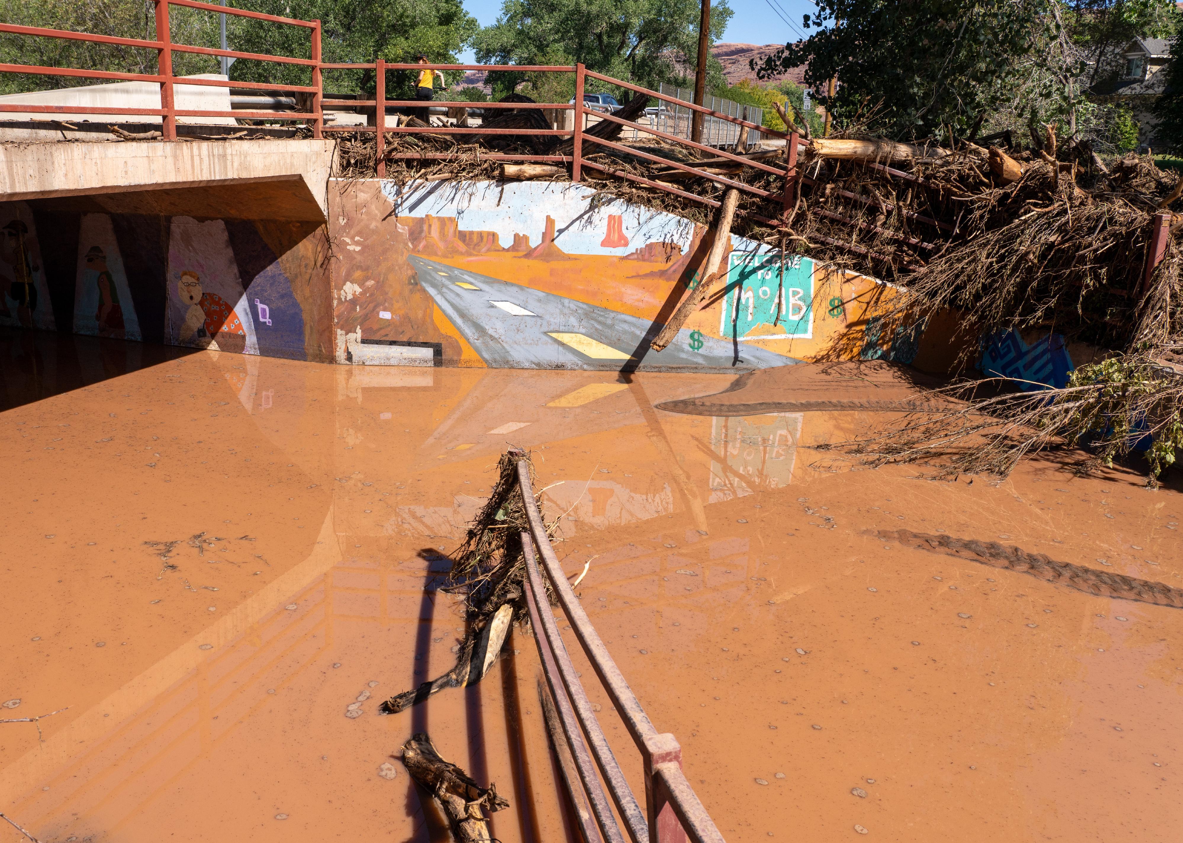 Guardrail torn from its mountings and bent over after flash flooding in Moab, Utah.