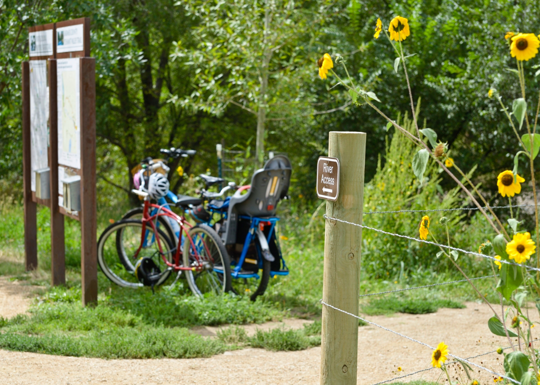 Bicycles parked on a river trail.