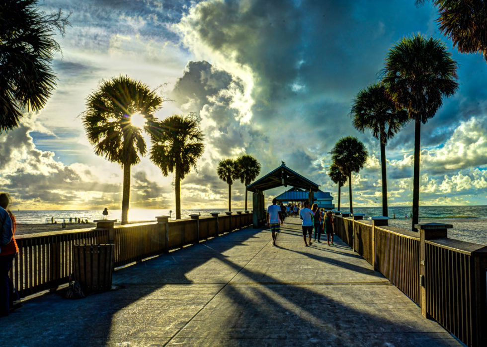 Boardwalk to the water lined with palm trees.