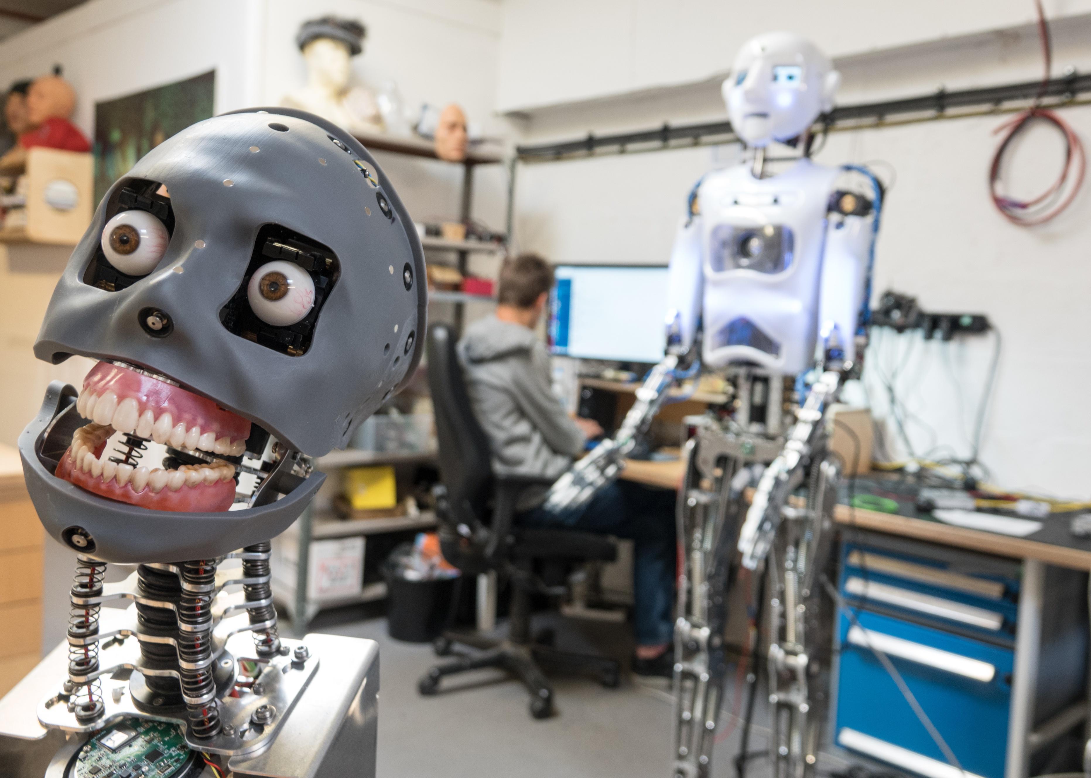 A man doing computer research on two human-like robots.