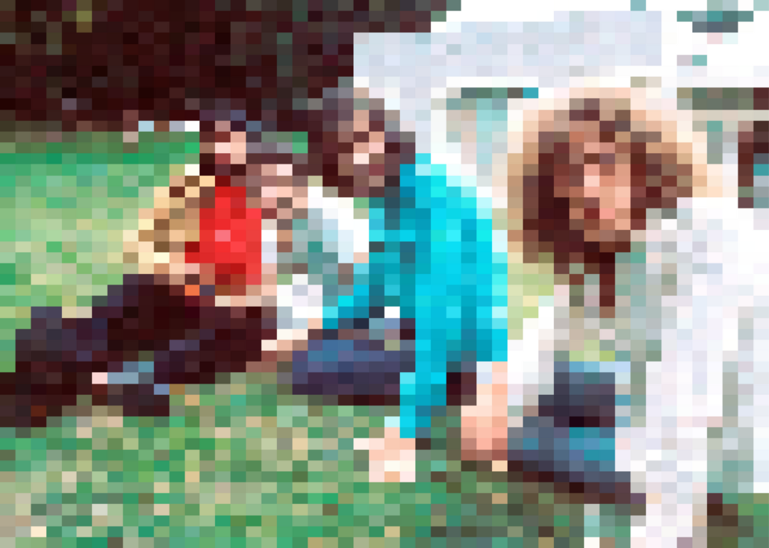 Posed group photo of the Who outside on lawn.