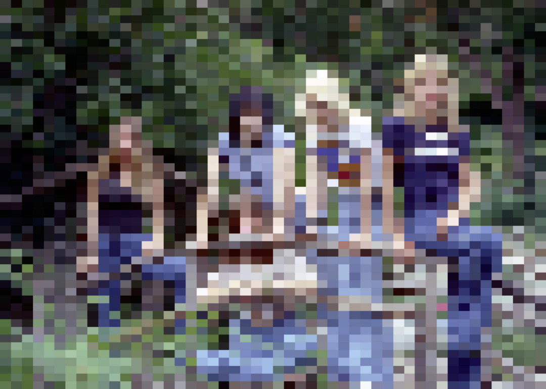 Portrait of the Runaways.
