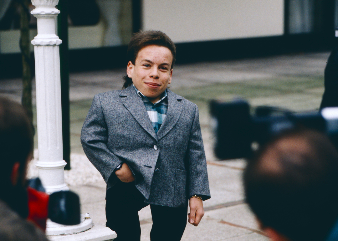 Warwick Davis.
