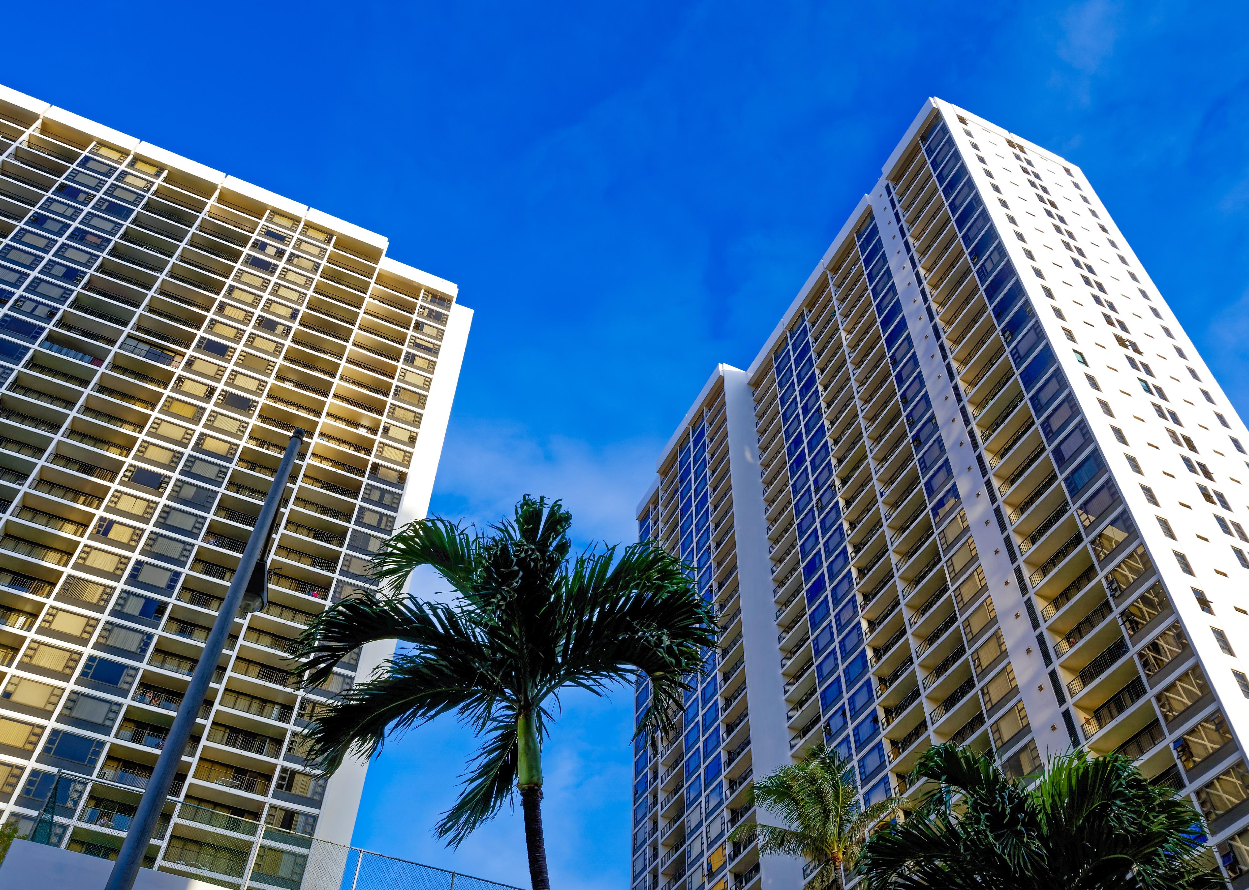 Hawaii palms and buildings.
