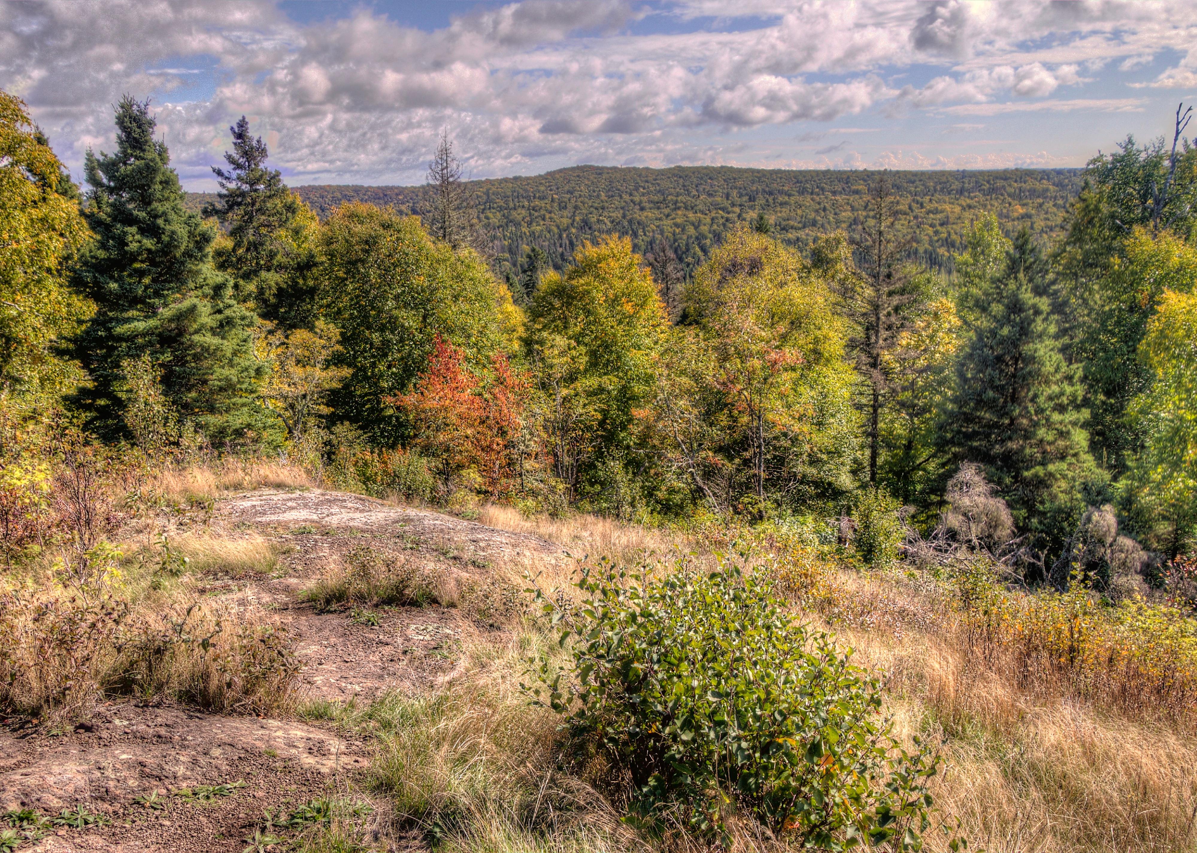 Isle Royale National Park treeline.