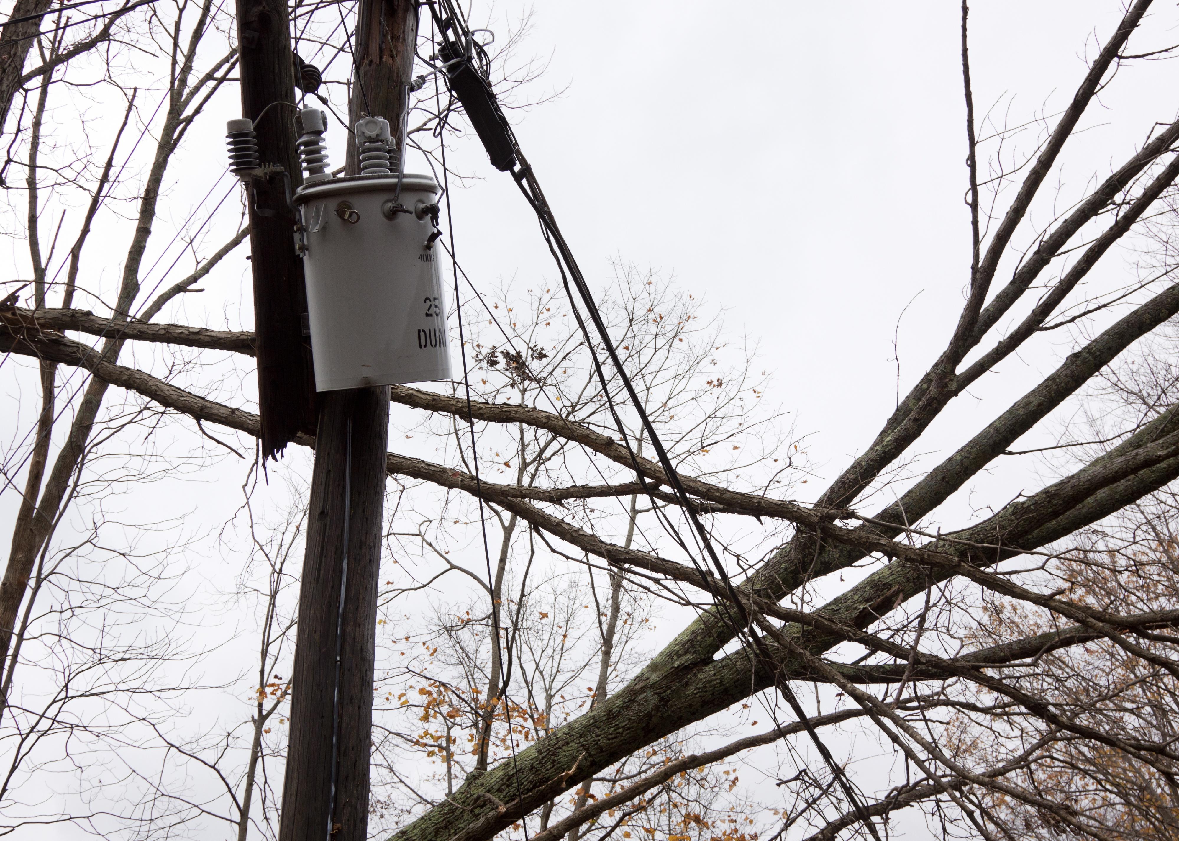 A transformer on a pole and a tree laying across power lines over a road.