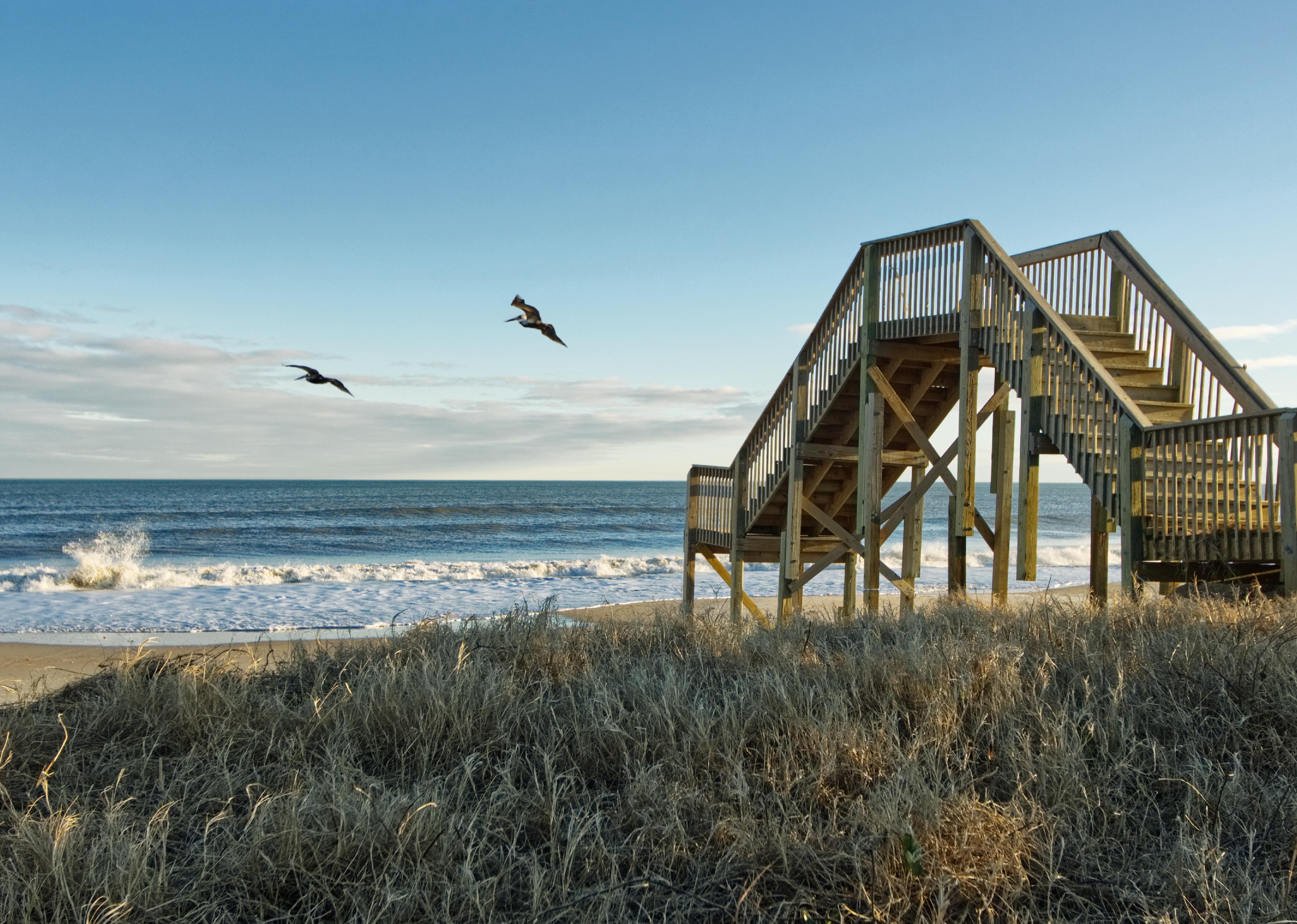 Birds flying over a pier in Jacksonville, NC