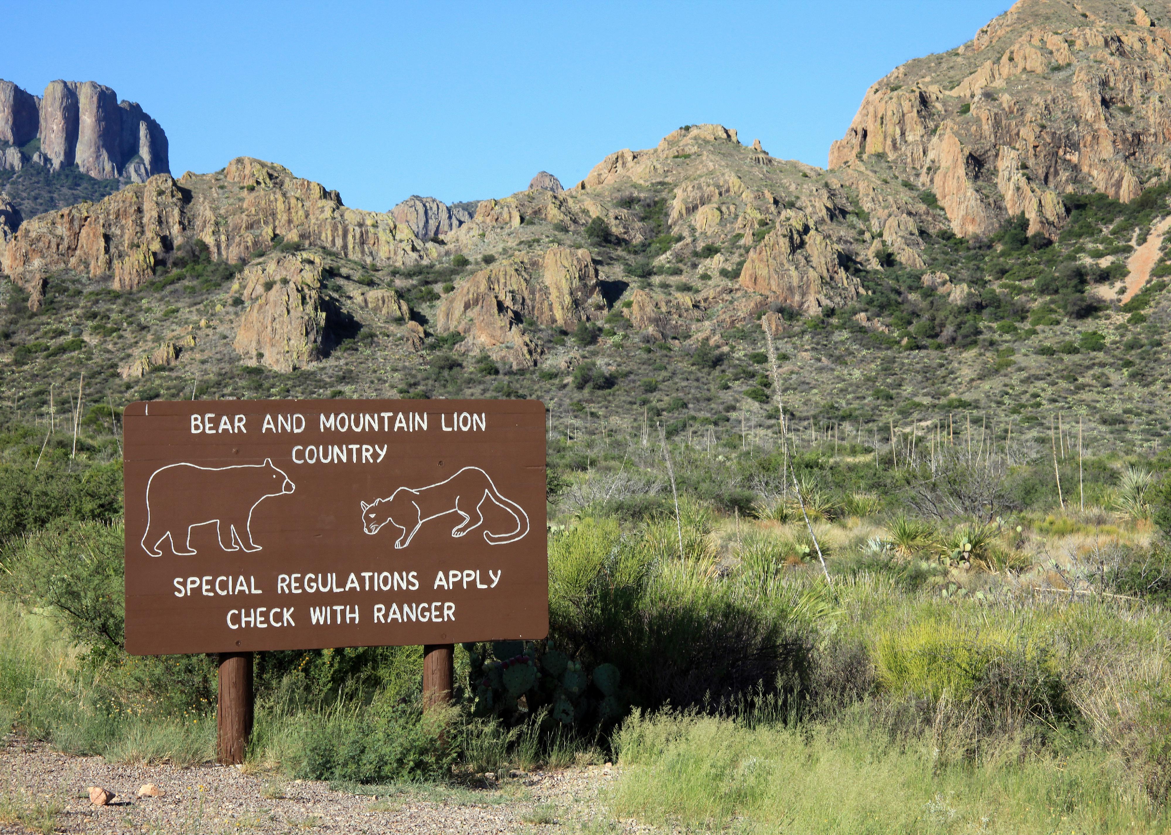 Bear warning sign in Big Bend National Park.