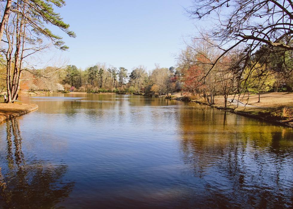 A pond in Avondale Estates.