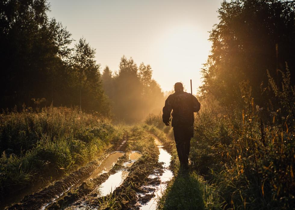 A hunter walks with a rifle in a forest.