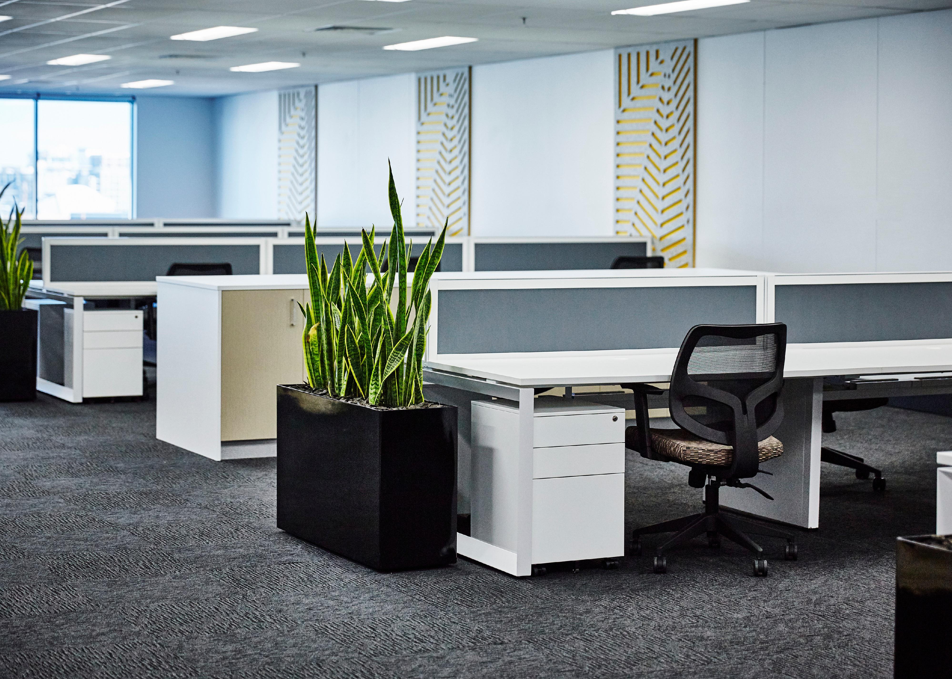 Interior of modern empty office building.